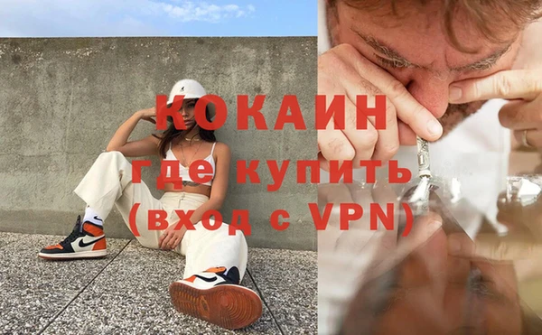 стафф Вяземский