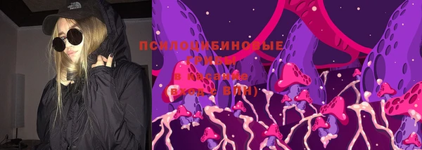 ешки Горно-Алтайск