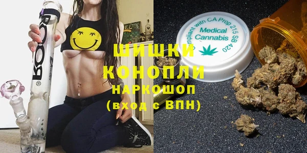 стафф Вяземский