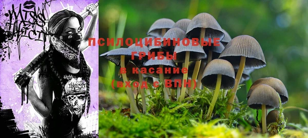 МДМА Горняк