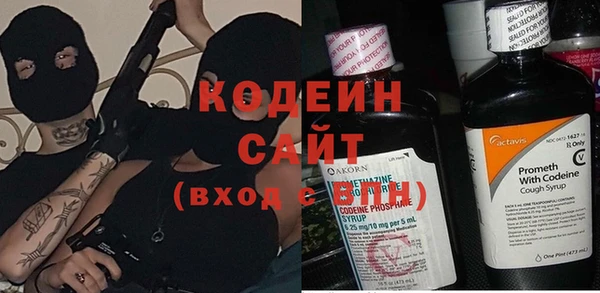 молекула духа Сковородино