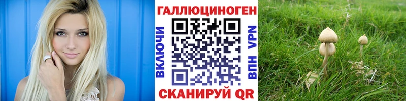 Псилоцибиновые грибы Psilocybine cubensis  Ивангород 